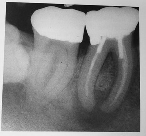 954B01A9-BCF1-453B-BCE4-AAB1D2453A43