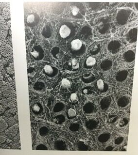 EAED3823-B37A-4B3A-BBB6-7B82775F1003