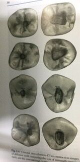 38A06FBC-9BD3-4920-B11A-BE412571D6C2