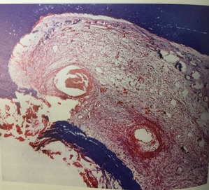 9584C339-51DB-4E35-B041-050814D9F785