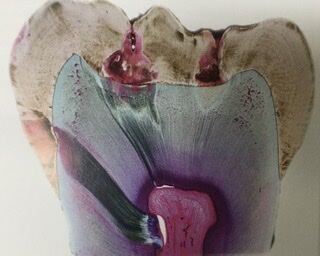 1630A255-DF19-4399-A27B-97454595D4F8