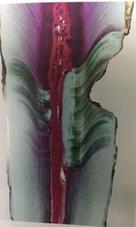 D036ED02-9B12-4FA8-8E91-CCD24098AFA5