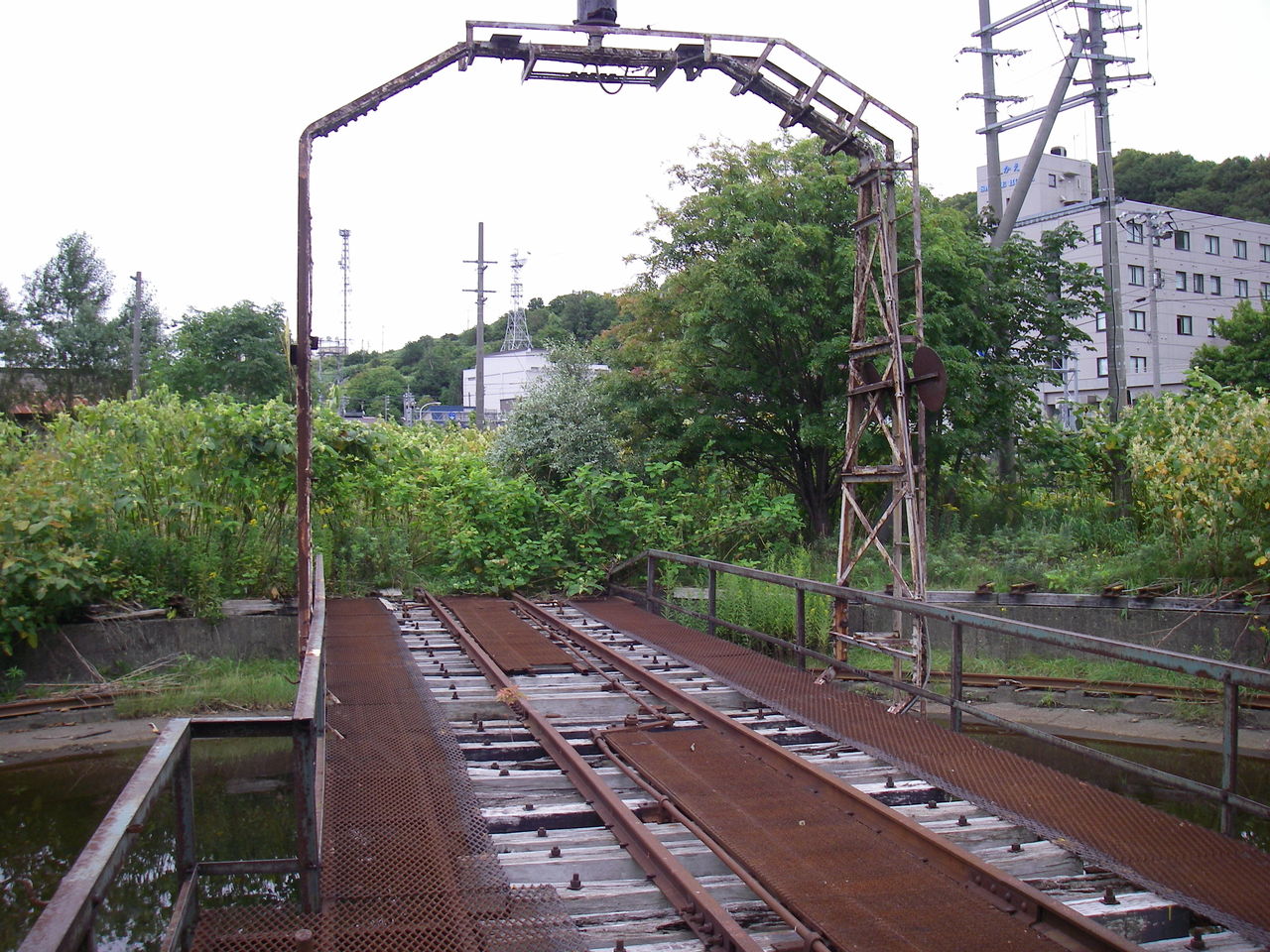 イメージ 7