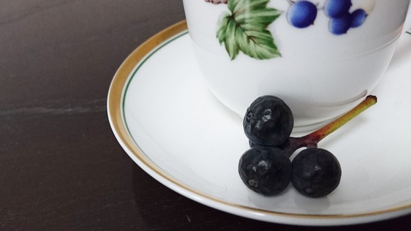 IMG_20180202_154037_939