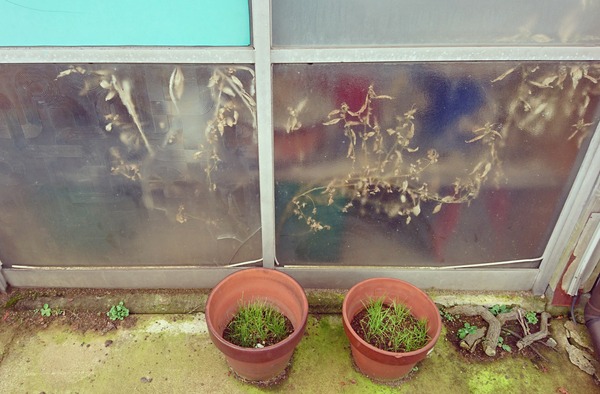 IMG_20161226_230756_866