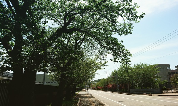 IMG_20170502_164408_554