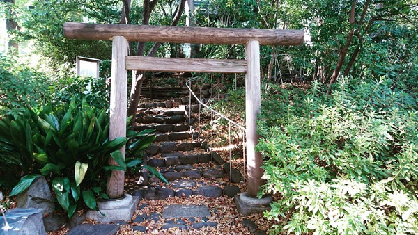 IMG_20171203_103721_064