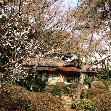 IMG_20190221_230738_139