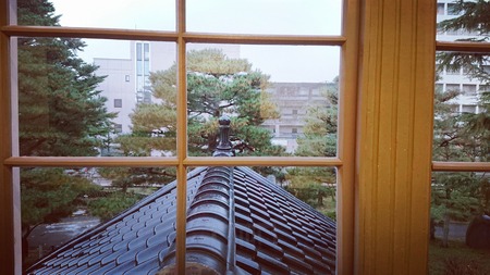 IMG_20191206_074429_681