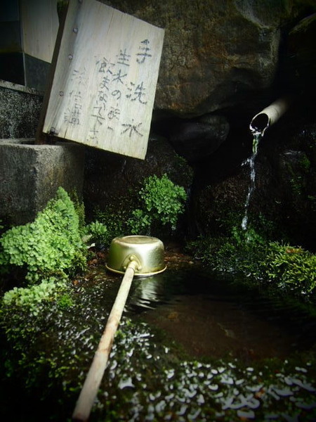 62dafd7ff4ae5c5979294f8bb55e1bd8