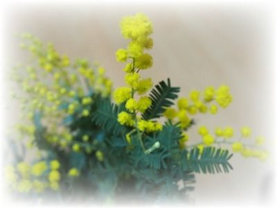 KPfl_vyqlP4Mnut1453569264_1453569399