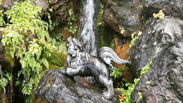 IMG_20171214_135323_016