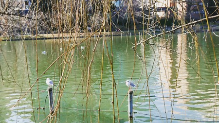 IMG_20200204_123807_160