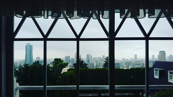 IMG_20170613_213136_252