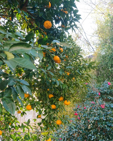 IMG_20200117_015851_967