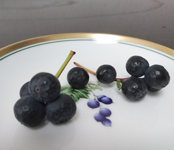 IMG_20180202_153707_069