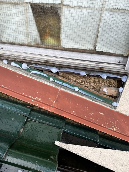 saved_file_1707034620844