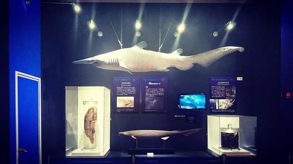 IMG_20170727_170543_524