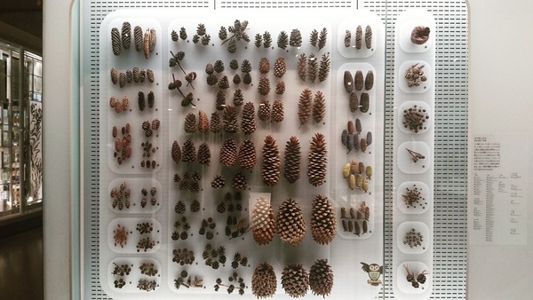 IMG_20170727_171100_113