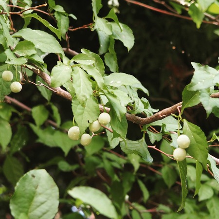 IMG_20180828_100434_242