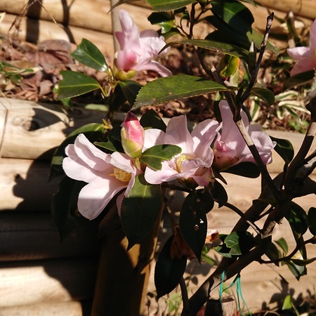 IMG_20200130_084755_071