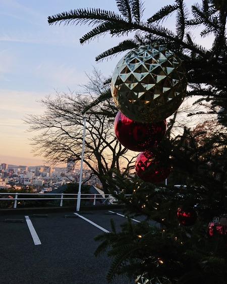 IMG_20191227_095714_898