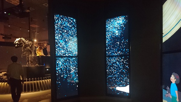 IMG_20170801_110932_817