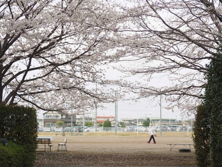 IMG_20210328_124839_952