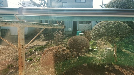 IMG_20190225_022757_264