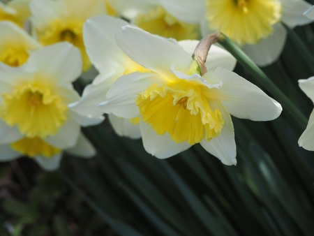 IMG_20200309_103412_016