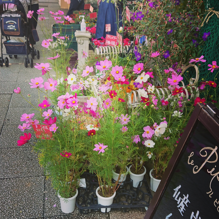 sketch-1632403214153