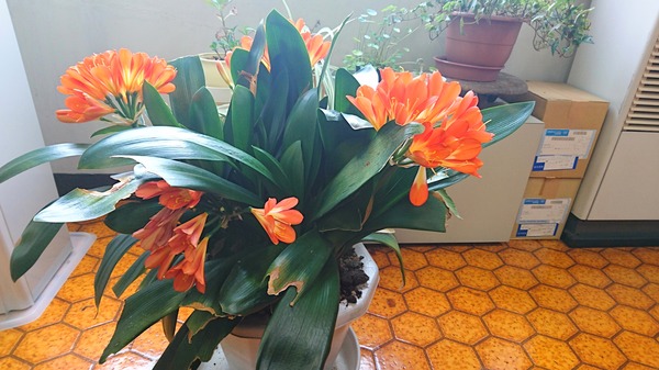 IMG_20170331_173417_508