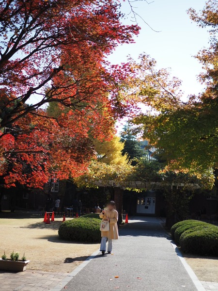 Point Blur_20251211_100134