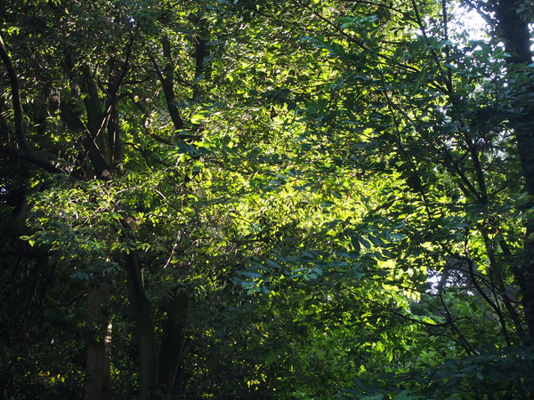 P7072351