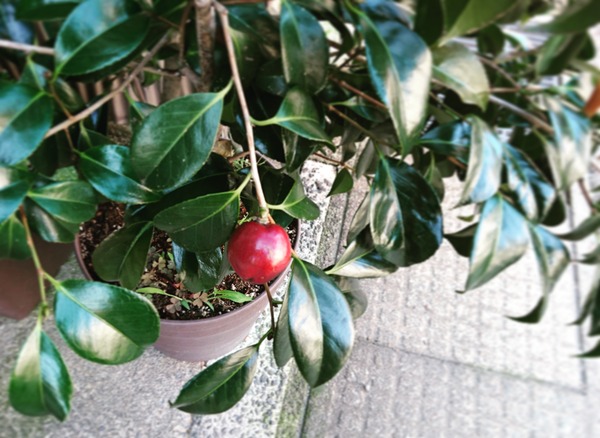 IMG_20170825_102326_721