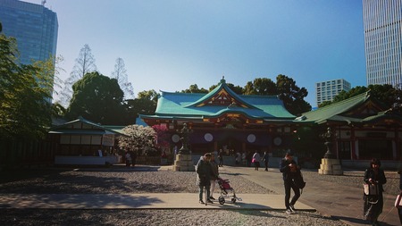 IMG_20190226_113217_258