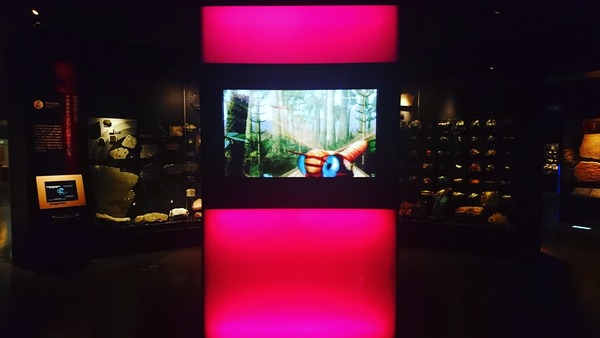 IMG_20170727_172132_484