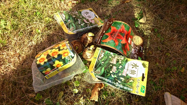 IMG_20161229_213848_030