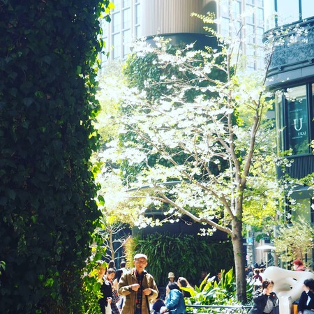 IMG_20190415_112453_884