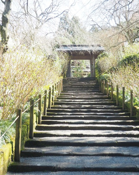 IMG_20200311_183552_303