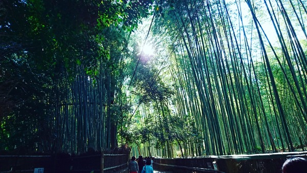 IMG_20170607_180250_017