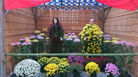 IMG_20201120_071551_420