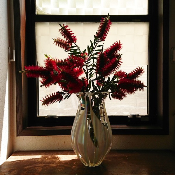 IMG_20180527_104627_702