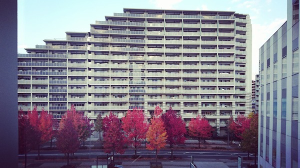 IMG_20171109_080806_144