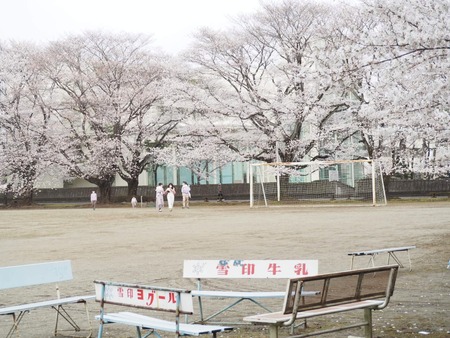 IMG_20210328_124655_353