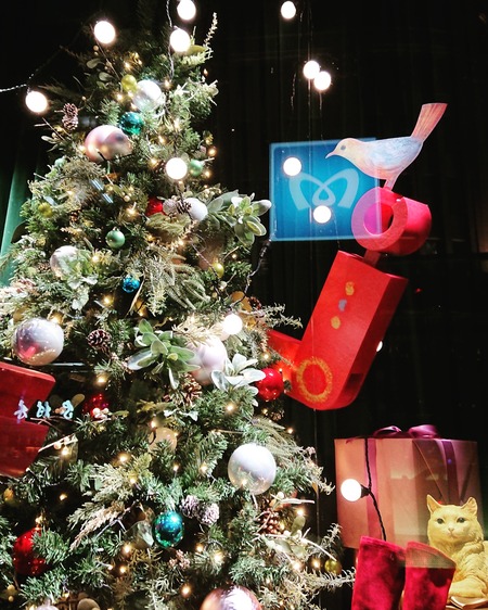 IMG_20191210_203652_648