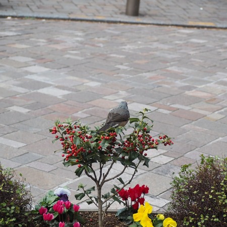 IMG_20210210_215810_924