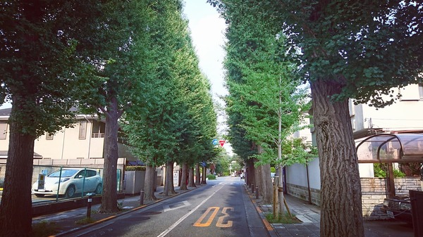 IMG_20170907_021907_675