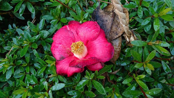 IMG_20161226_225756_677