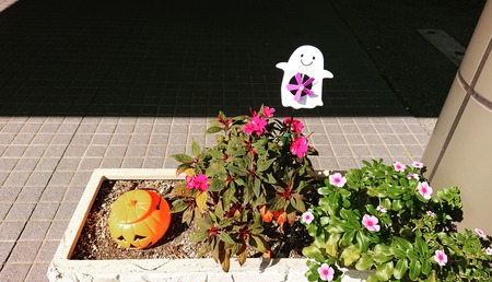 IMG_20181022_010325_710